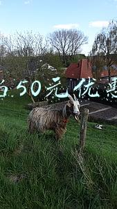 当当50元优惠券