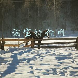 淘宝特价网
