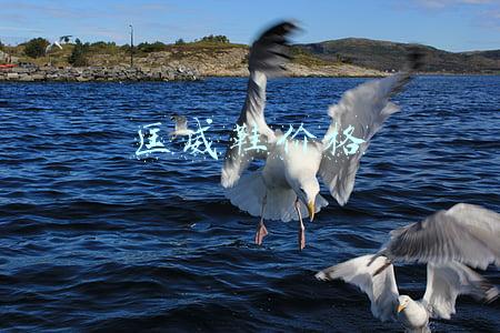 匡威鞋价格