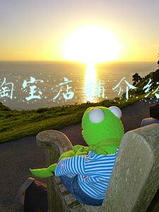 淘宝店铺介绍