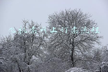 飞机票网上订票流程