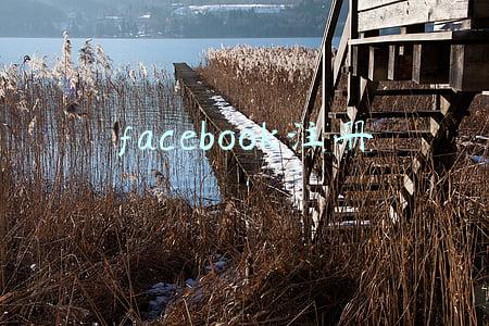 facebook注册