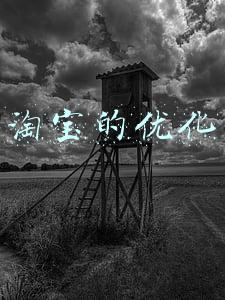 淘宝的优化
