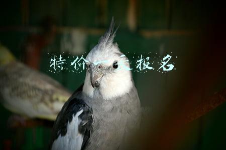 特价一天报名