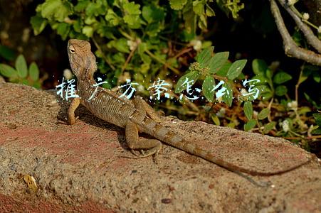 推广方案怎么写