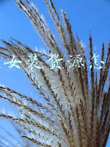 淘宝服装店货源(淘宝服装货源哪里找？淘宝服装货源渠道哪种好？)