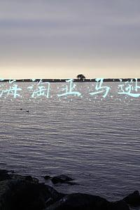 海淘亚马逊