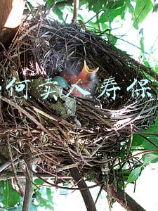 如何卖人寿保险