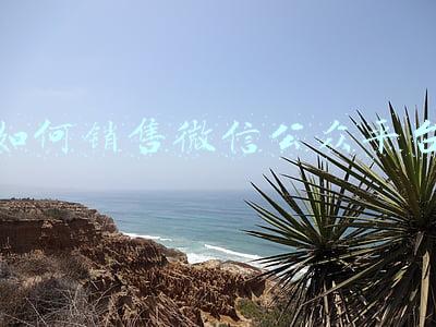 如何销售微信公众平台