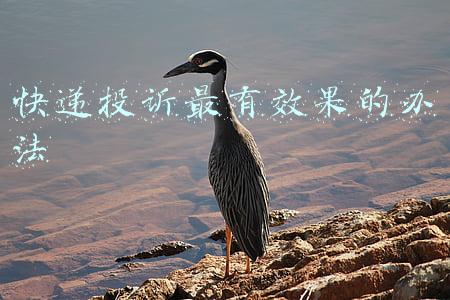 快递投诉最有效果的办法