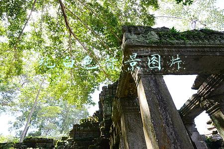 纯白色背景图片