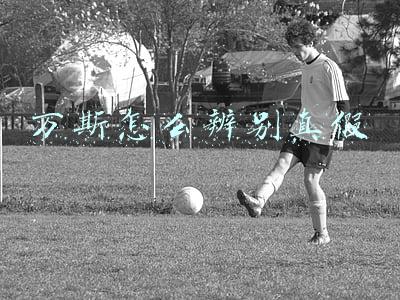 万斯怎么辨别真假