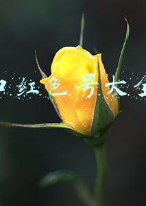 口红色号大全