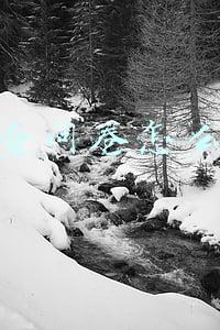 调查问卷怎么做