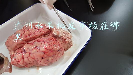 广州水果批发市场在哪里