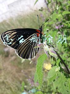 微信怎么删除朋友圈