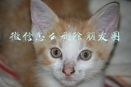 微信怎么删除朋友圈