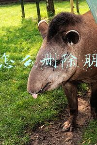 微信怎么删除朋友圈