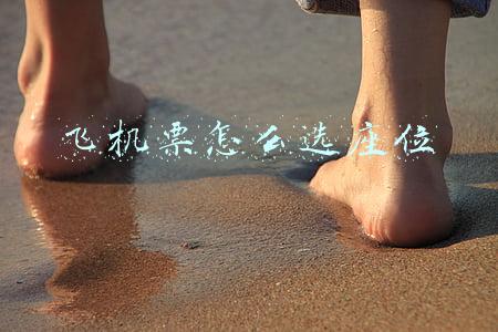 飞机票怎么选座位