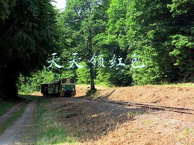 天天领红包