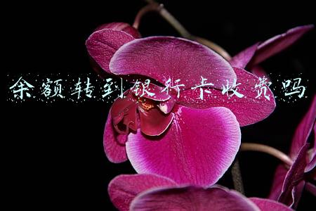 余额转到银行卡收费吗