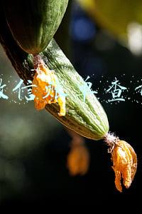 微信账单查询