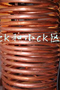 大ck和小ck的区别(真假小CK终有一战)