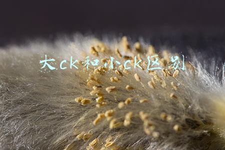 大ck和小ck区别