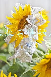 微信收款二维码在哪里