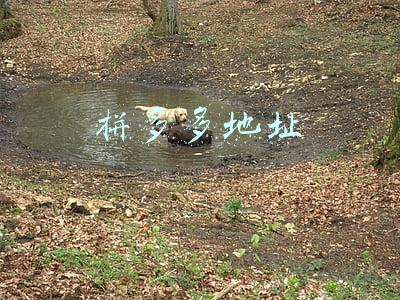 拼多多地址