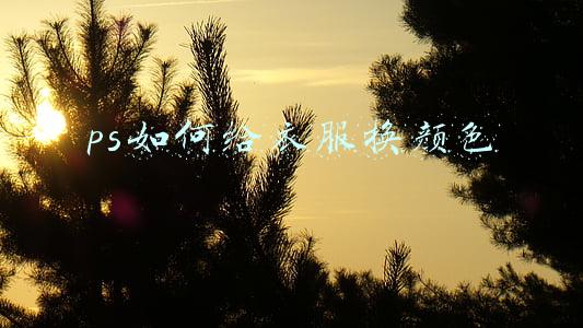 ps如何给衣服换颜色