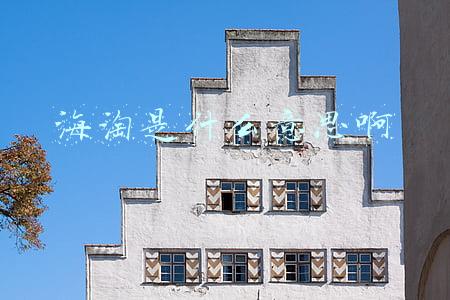 海淘是什么意思啊