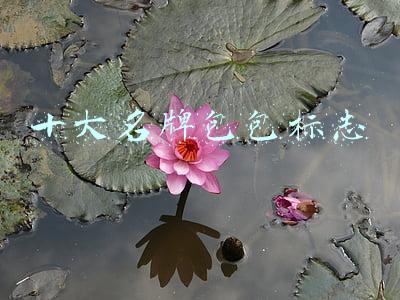十大名牌包包标志