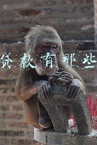 分期贷款有那些平台