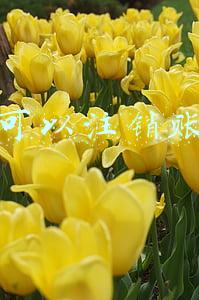 微信是否可以注销账号(曾难倒很多人？微信账号终于支持注销了)