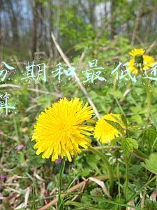 花呗分期和最低还款哪个划算