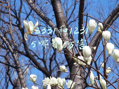 12331和12315哪个厉害