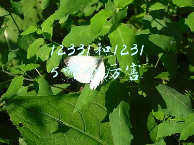12331和12315哪个厉害