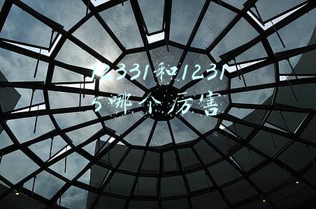 比12315投诉更厉害的电话(比110更直接有效的举报电话)
