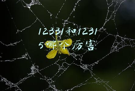 12331和12315哪个厉害