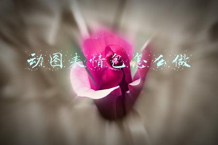 动图表情包怎么做 app(真的可以为所欲为！手机一键生成GIF表情的APP)