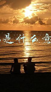 fcs是什么意思