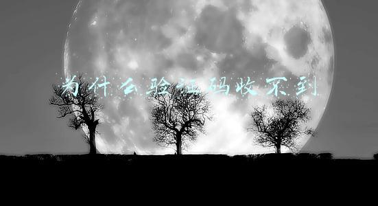 为什么验证码收不到
