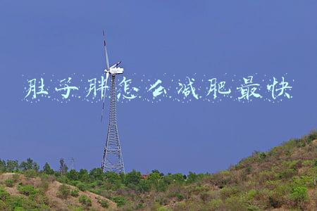 肚子胖怎么减肥最快