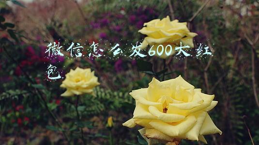 微信怎么发600大红包