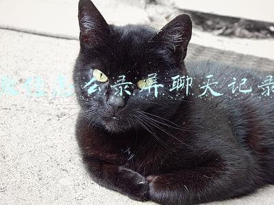 微信聊天怎么录屏下来(当心手机间谍软件，实时监控录像录屏，连微信聊天都不放过)