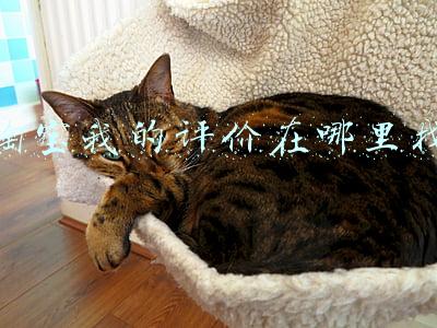 淘宝我的评价在哪里找