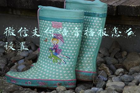 微信支付语音播报怎么设置