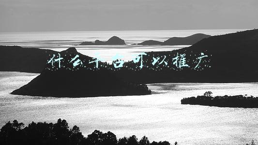 什么平台可以推广