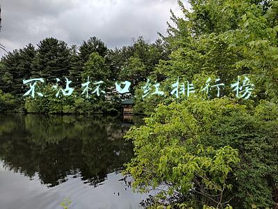 不沾杯口红排行榜
